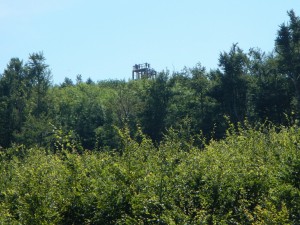 DSCN0741